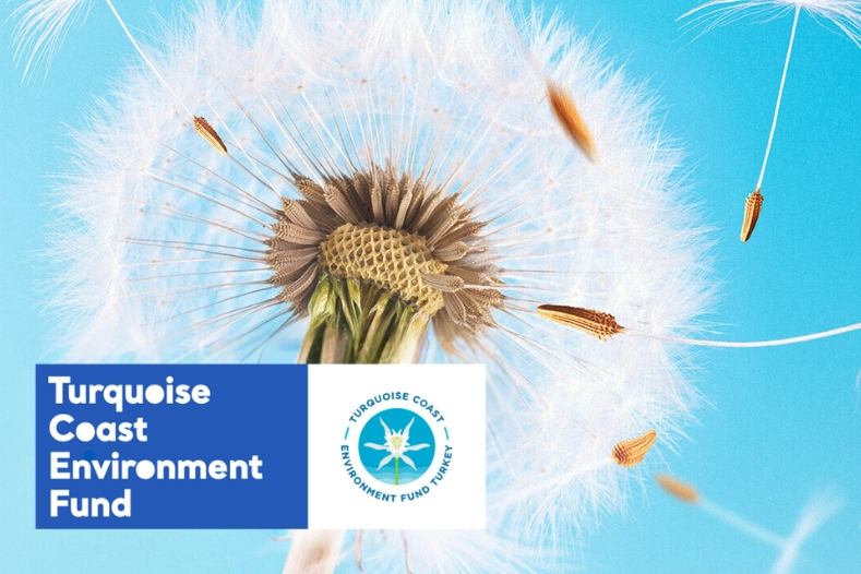 TCEF 2026 Hibe Programı'nda Türkiye'nin güney ve batı kıyılarına destek