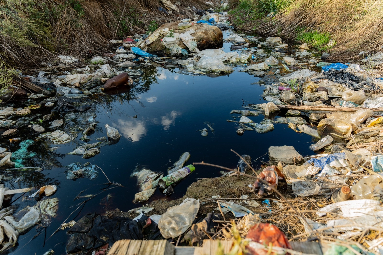 Prof. Dr. Ünüsan'dan mikroplastik uyarısı