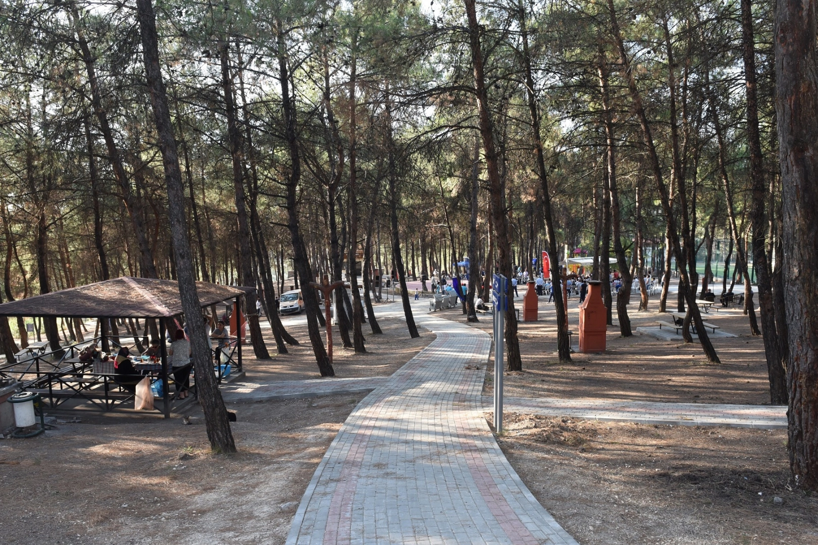 Bursa’da ormanlara giriş yasaklandı