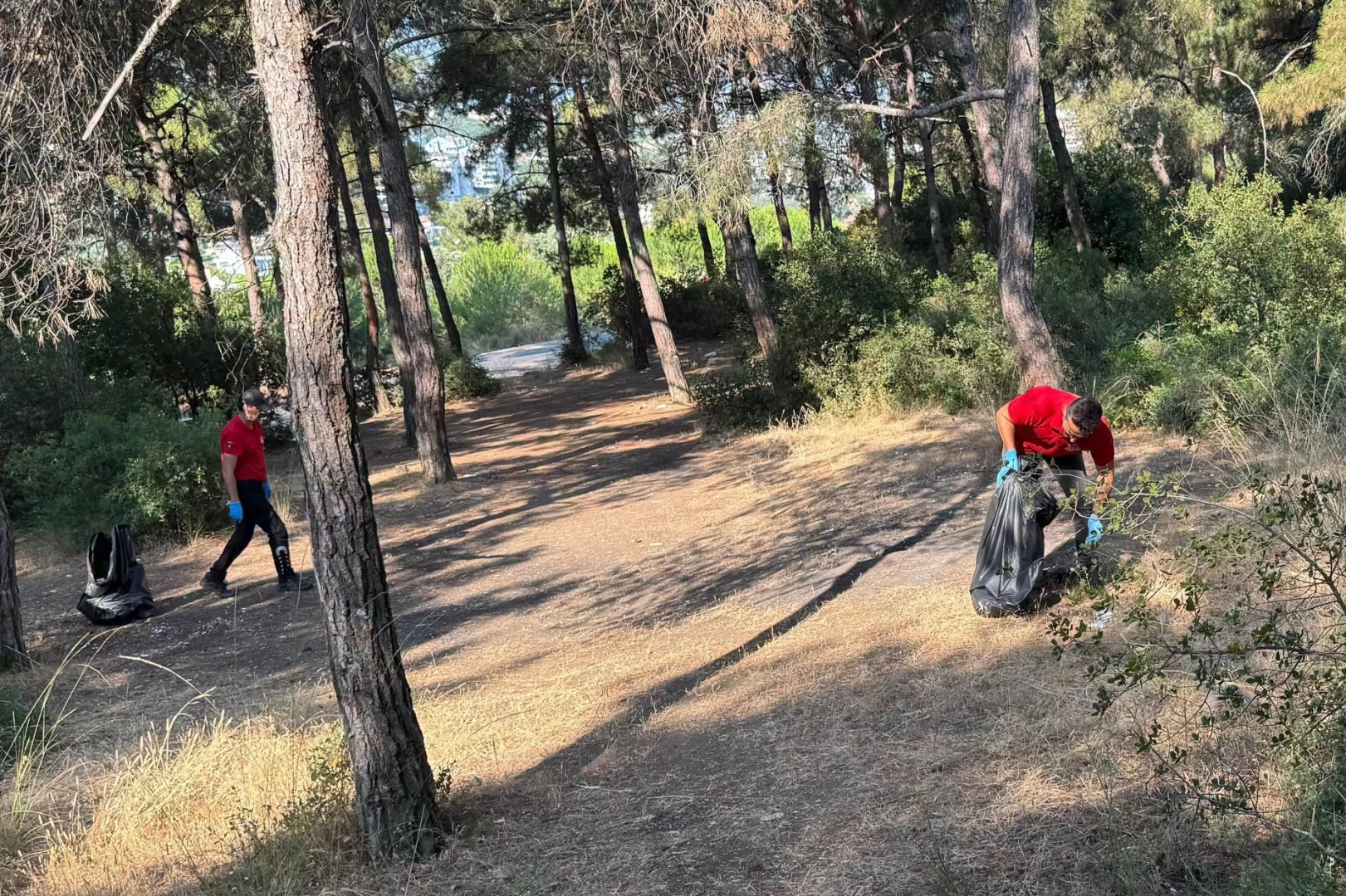 Mudanya Çamlıbel’de orman yangını riskine karşı temizlik çalışması